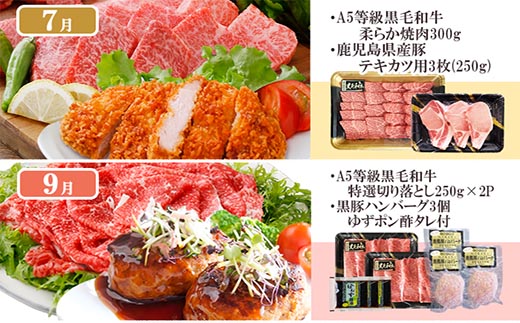 定期便(1年で10回配送)お楽しみ便(A5等級黒毛和牛・鹿籠豚(黒豚)・かご豚加工品等HH-6004【1166752】 _ ふるさと納税 定期便 肉 牛肉 サーロイン ステーキ 焼肉 ハンバーグ 切り