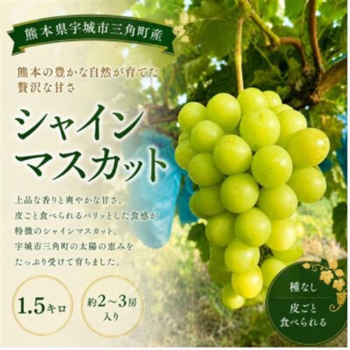 【先行予約】【数量限定】 シャインマスカット 1.5kg ぶどう 果物 フルーツ【みのだ農園】【配送不可地域：離島】【1511904】