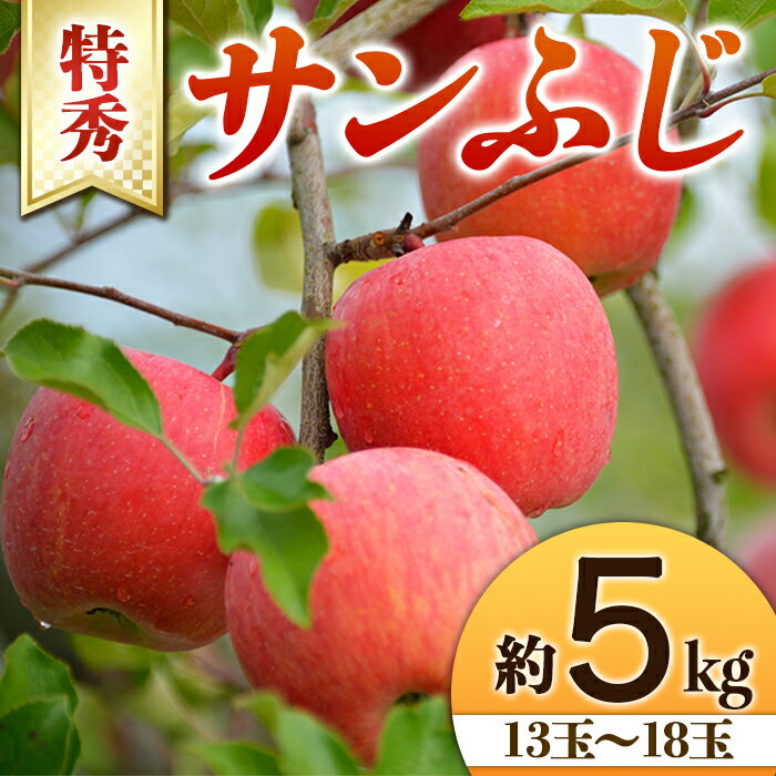 【ふるさと納税】 【令和7年産先行予約】 りんご 「サンふじ」 約5kg (13～18玉 特秀) 《令和7年11月下旬～発送》 『生産者 山岸 誠』 山形県 南陽市 [966]