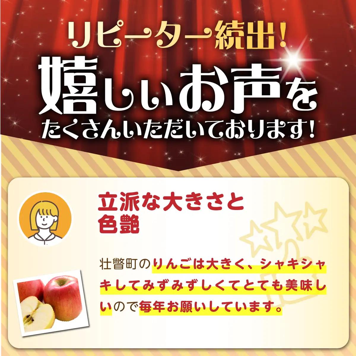 【先行予約】北海道壮瞥町産りんご「サンふじ」約3kg(8～10玉)＜2026年12月上旬にお届け＞ SBTF006