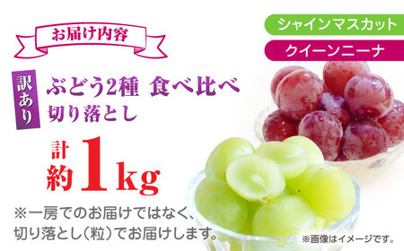 訳あり 紅白ぶどう2種（シャインマスカット＆クイーンニーナ）食べ比べ 切り落とし 計約1kg  【合同会社 社方園】[ZBZ041]