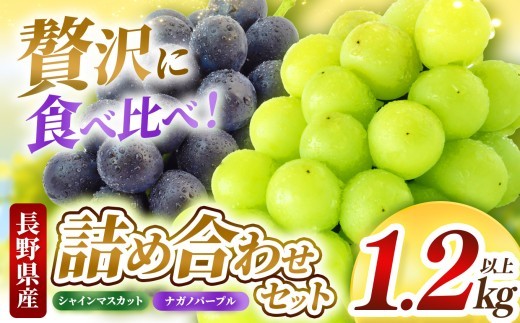 
                  【先行受付】シャインマスカット・ナガノパープル詰め合わせ1.2kg以上 | ふるさと納税 長野県 松本市 信州 季節限定 シャインマスカット ナガノ・パープル ブドウ
                