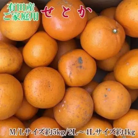 (訳あり・ご家庭用)一度は食べていただきたい「有田産のせとか」約4kg～5kg【日高町】【1462751】