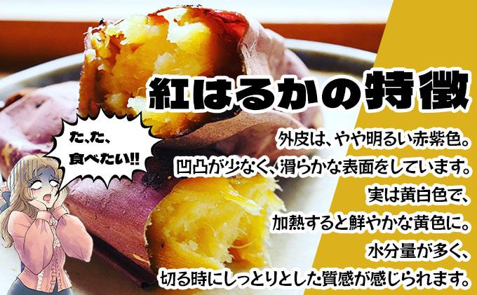 北海道 伊達 さつまいも 紅はるか 15kg 熟成 高糖度 サツマイモ 芋 甘い スイートヤバ芋 産地直送