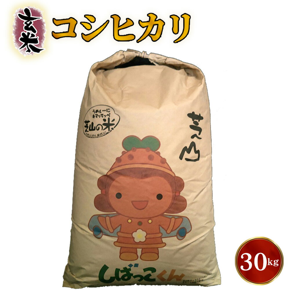 【ふるさと納税】 令和7年産　千葉県芝山町産　コシヒカリ　玄米30kg　色選処理済 ／ コシヒカリ 玄米 30kg 大容量 国産米 一等米 色選別済み 精米前 米ストック 家庭用 業務用 まとめ買い 千葉県 No.089