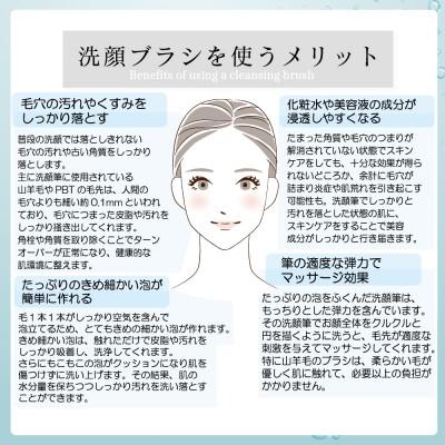 ふるさと納税 松原市 化粧筆メーカーの洗顔ブラシ 山羊毛【ラッピング付】 |  | 02