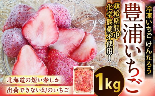 豊浦いちご 冷凍いちご 1kg いちご イチゴ 苺 冷凍 くだもの 果物 フルーツ 果実 果肉 国産 北海道産 希少品種 栽培期間中化学農薬不使用 濃厚 コク