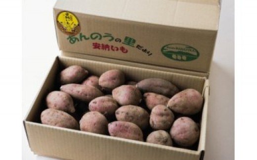 まなつか 農園 の 種子島 安納いも ( 生いも )Mサイズ 10ｋｇ　NFN002 【575pt】