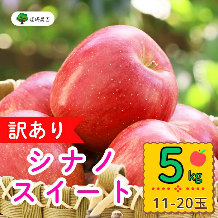 【ふるさと納税】＜先行予約＞【訳あり】規格外 シナノスイート【約5kg(11〜20玉)】(7-A27-2)＜出荷開始：2025年10月中旬頃～10月下旬頃＞【 りんご フルーツ 長野県 飯山市 ギフト プレゼント 記念日 誕生日 敬老の日 記念品 訳あり わけあり 規格外 】
