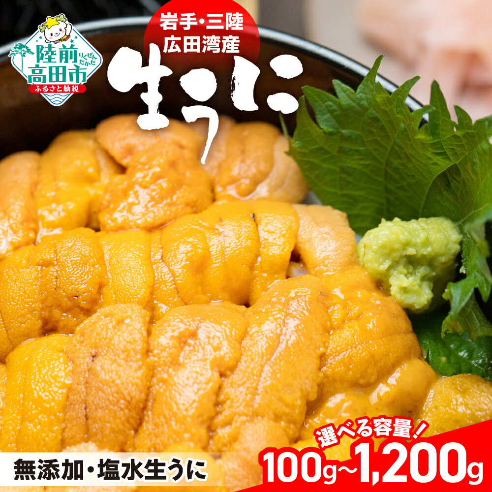 【ふるさと納税】6/30まで特別価格 高評価！ 三陸産 生うに 選べる内容量 100g ～ 1200g 獲ったその日に発送 うに ウニ 雲丹 生ウニ うに塩水 ムラサキウニ 無添加 ミョウバン不使用 期間限定 数量限定 貴重 旬 天然 濃厚 人気 訳あり 海の幸 うに丼 刺身 贈答 お祝い ギフト