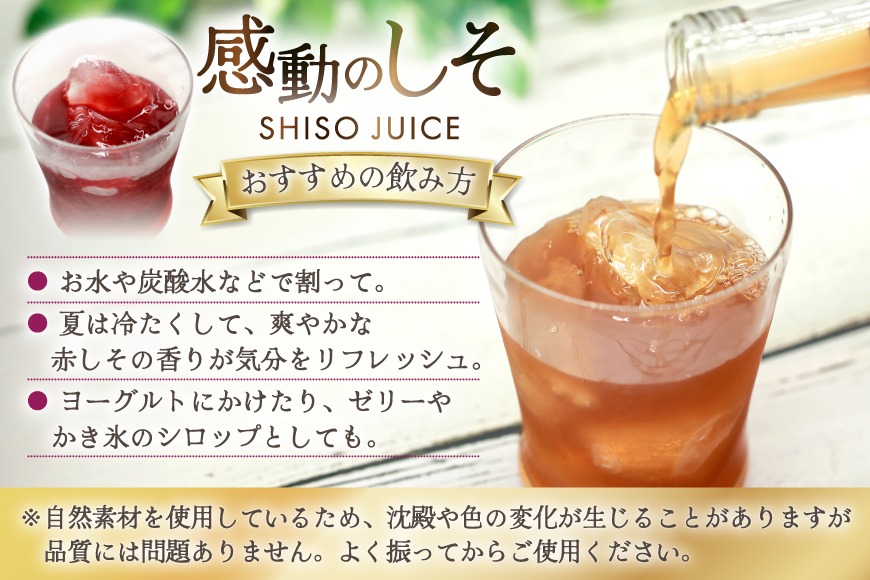 AJ307 感動の赤しそジュース 瓶 500ml 感動の青しそジュース 瓶 500ml [ しそジュース 紫蘇ジュース 赤しそ 青しそ 長崎県 島原市 ]