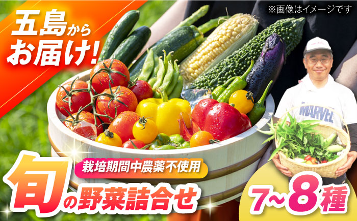 【一人暮らしに】有機農法・旬の野菜詰め合わせ 五島市/ぷらっと農園 [PDS005]