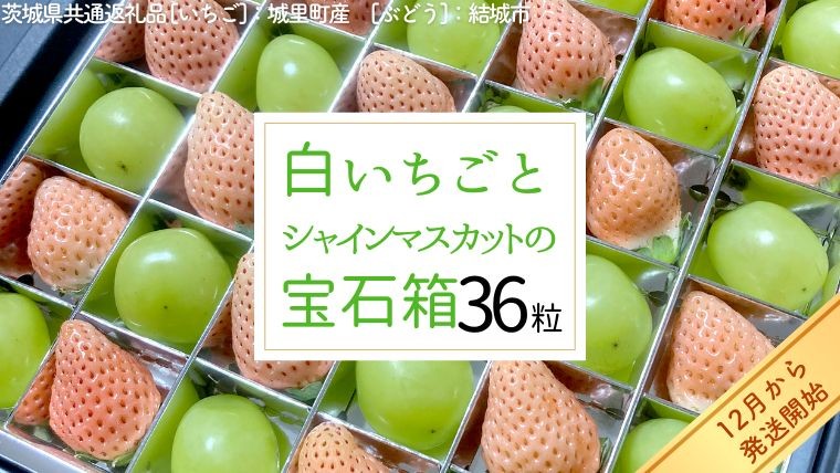 
                  白いちご と シャインマスカット の 宝石箱 36粒 【2026年12月より発送開始】（茨城県共通返礼品 [いちご]：城里町産　[ぶどう]：結城市産） 果物 フルーツ いちご イチゴ 白苺 ぶどう マスカット ギフト プレゼント
                