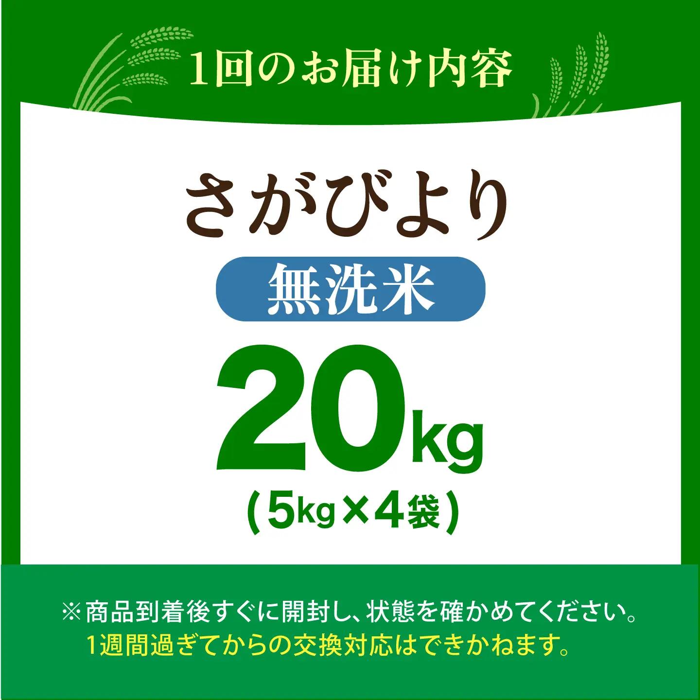 【全12回定期便】 さがびより 無洗米 20kg（5kg×4袋）【五つ星お米マイスター厳選】特A米 特A評価[HBL130]