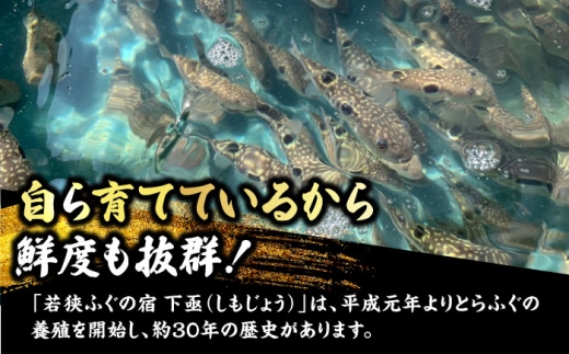 ふぐ 刺身【着日指定可能】【冷蔵】 若狭ふぐ 極上セット 焼きふぐ付き 4人前 / ふぐ 河豚 刺し身 さしみ 切り身 切身 フグ ふぐ刺し フグ刺し 河豚刺し ふぐ 魚介 鮮魚 海鮮 若狭フグ 若狭