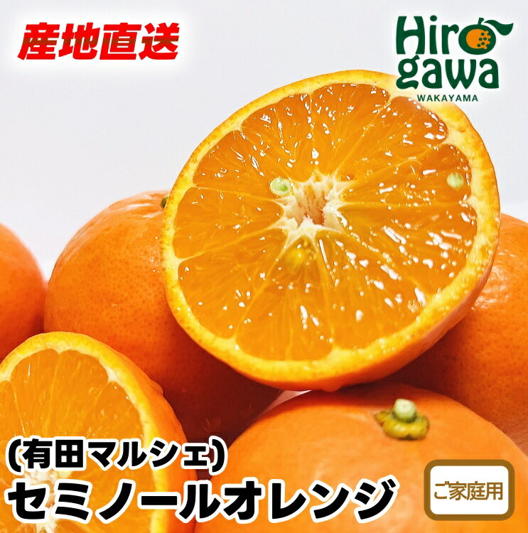 【ふるさと納税】 有田 育ちの爽快 セミノールオレンジ (ご家庭用) ※2026年4月上旬～5月下旬に順次発送 ※北海道・沖縄・その他離島地域は発送不可 / みかん 訳あり オレンジ くだもの 晩柑 柑橘 和歌山 //hassaku