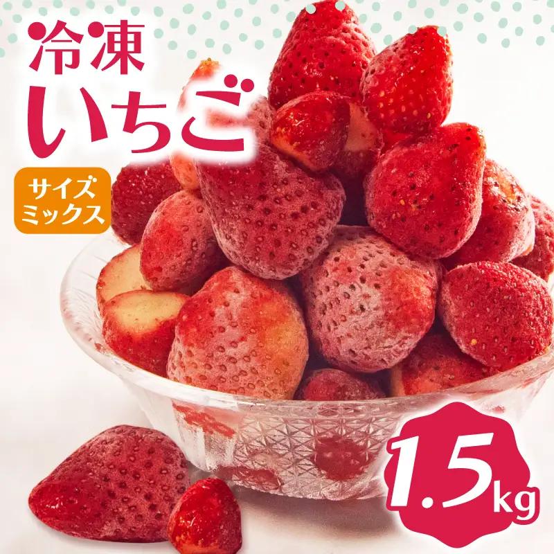 完熟 冷凍いちご 1.5kg 【 いちご 苺 】