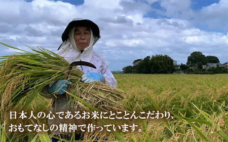 642 米粉シフォンケーキ プレーン 直径約17㎝ 無添加【米蔵高安】