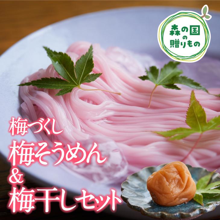 【ふるさと納税】【松野町産 南高梅使用】香りひろがる梅そうめん・梅干しセット ◆