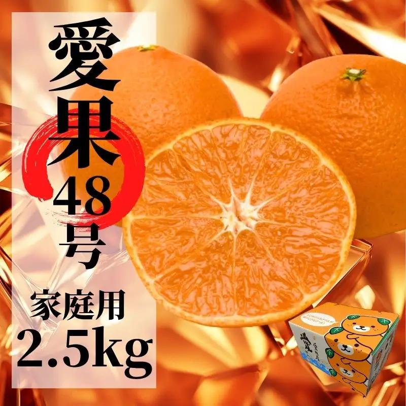 【2027年2月下旬頃から順次発送】愛果48号 家庭用 約2.5kg あいか 期間限定 みかん 柑橘 愛媛県産【PT049】