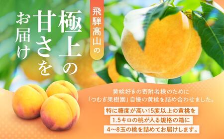 【2025年先行予約】飛騨のたから桃（4-8玉）糖度15度以上 黄桃｜桃 もも おうとう 極上の甘さ 濃厚な甘さ 甘い 贈答 高級 特選 朝採り 飛騨の朝採り桃 朝採れ農家直送 飛騨高山 つむぎ果樹園