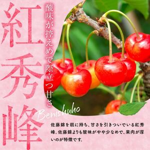 甘さとジューシーさがたまらない 紅秀峰 500g×2パック 合計1kg(２L) 【2024年発送先行予約】 余市 北海道 フルーツ王国 さくらんぼ サクランボ 桜桃 紅秀峰  小分けさくらんぼ  人気