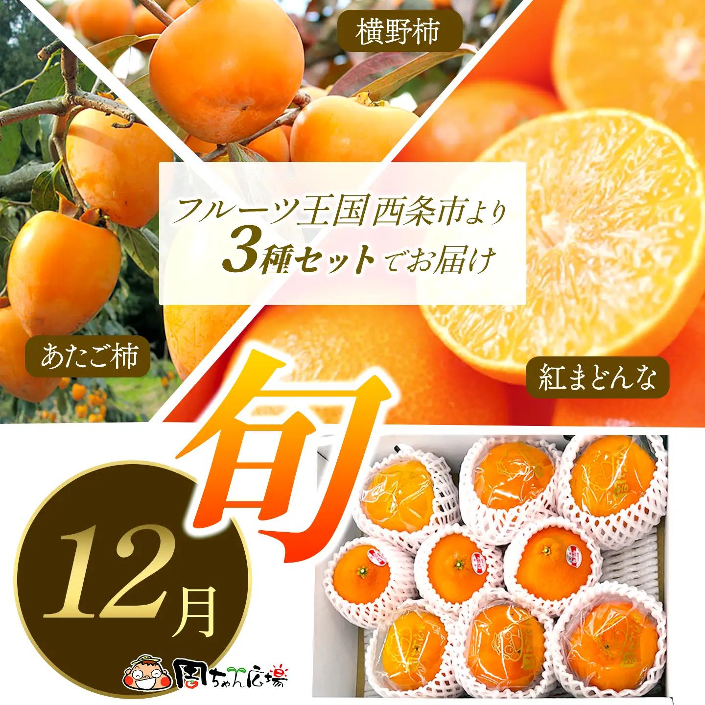 【12月発送】旬フルーツ3種【紅まどんな・あたご柿・横野柿】周桑の味覚各3個入｜紅まどんな