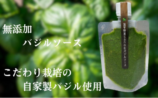 
温室野菜 sano 　生バジルソース 料理 イタリア料理 新鮮 香り 温室栽培 無添加 おすすめ 人気 厳選 袋井市
