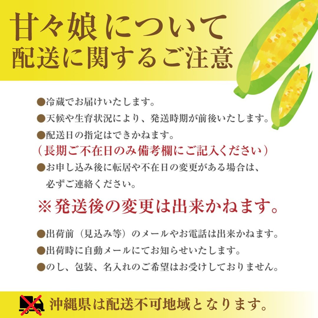 極甘フルーツとうもろこし「甘々娘（かんかんむすめ）」 わけありスイート 10～12本入り 【2026年6月中旬から発送】　アグリ甲斐 [5839-8582]