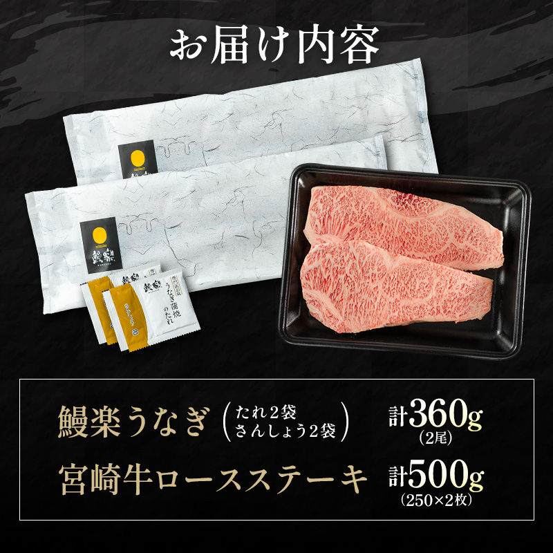 鰻楽 国産うなぎ 2尾 計360g ＆ 宮崎牛 ロースステーキ 250g×2枚 計500g 肉質等級4等級 国産 人気 おすすめ【C129-2503】_イメージ4