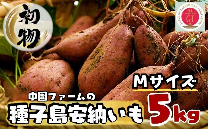 【2025年産  初物 8月下旬～発送】種子島・安納 地域 産 安納いも（生芋）M 5ｋｇ　NFN171 【300pt】// 早掘り 安納芋発祥の地 安納地域 本場 安納芋 
