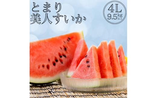 17K.とまり美人西瓜 4L