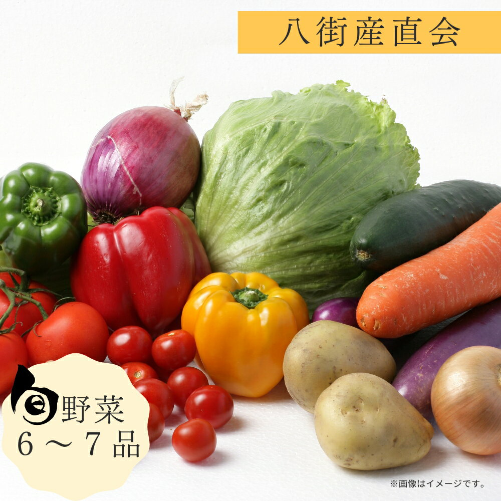 【ふるさと納税】野菜セット 八街産直会 産地直送 春夏野菜 旬野菜ボックス 採れたて 新鮮野菜 冷蔵配送 6〜7品