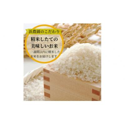 ふるさと納税 小松島市 【2025年9月順次発送】 令和7年産 新米 白米 コシヒカリ 5kg 特別栽培米 |  | 02