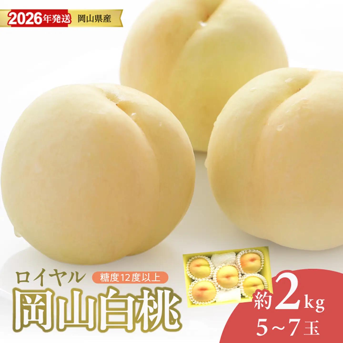 【2026年発送分】岡山県産 白桃 最高ランク！「ロイヤル」 約2kg（令和8年7月以降発送）【桃】hz-m