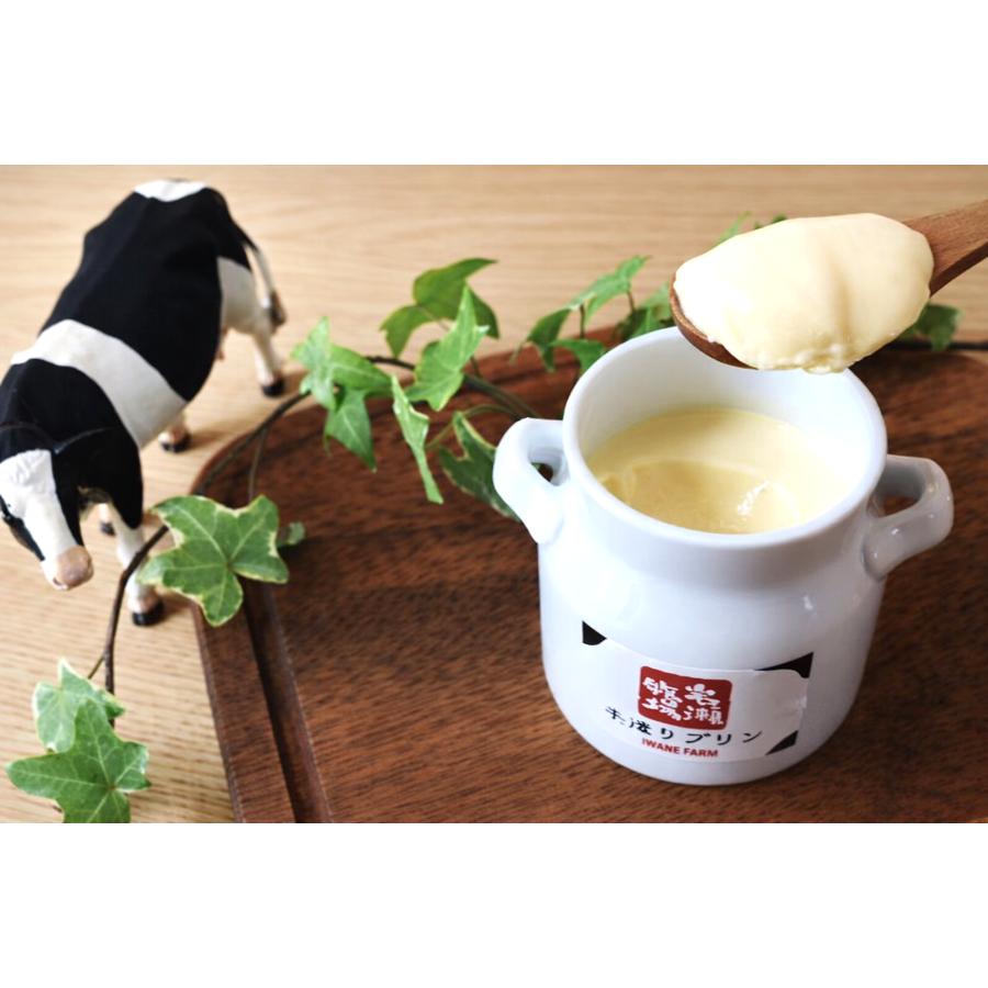 ＜岩瀬牧場＞こだわりプリン　2種・6個セット