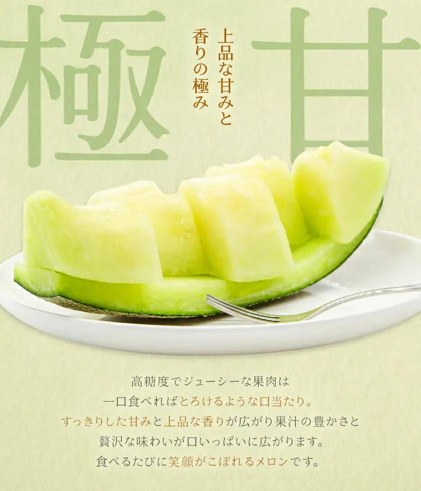 肥後グリーンメロン 1玉 熊本 株式会社エフビーネット《4月上旬-7月上旬頃出荷》