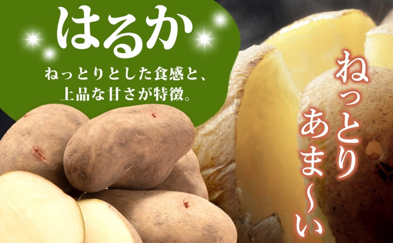 じゃがいも 越冬はるか 10kg 2026年1月中旬～3月下旬ごろお届け しっとり 甘い ロースト じゃがバター 産地直送 お取り寄せ 国産 小野寺農園 北海道 洞爺湖町