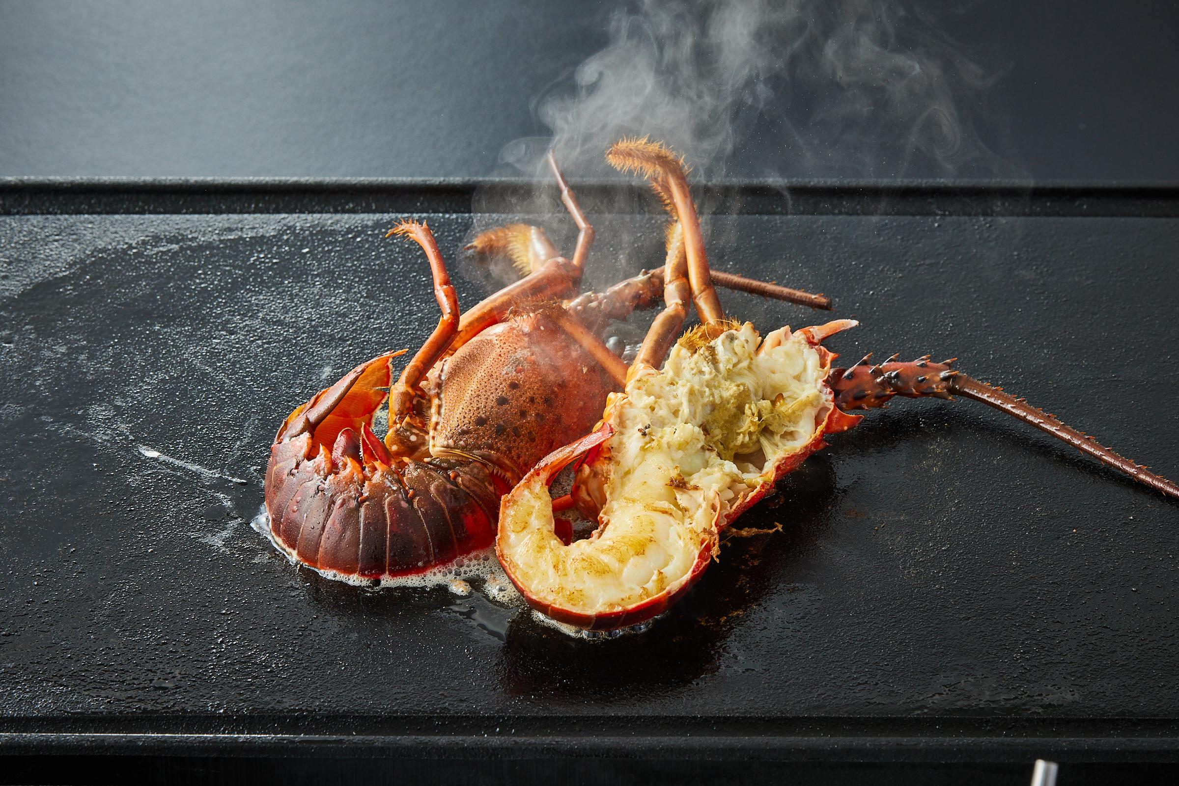 【訳あり】天然 活 伊勢海老 約2kg（ 5～10尾 大きさ 不揃い ）南紀黒潮イセエビ 年末年始 お正月 お届け可｜ 期間限定 漁師直送 海鮮 海老 とれたて 人気