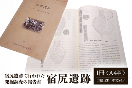 宿尻遺跡 1冊 弥生時代 考古学 遺跡 【歴史】【ho1309】