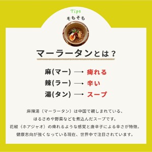 ピリ辛マーラータン | 麻辣湯（3食セット） 0121-001-S06