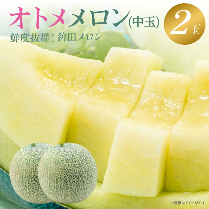 【ふるさと納税】メロン 生産量日本一 めろん 中玉 オトメメロン 緑肉 2玉 3〜5kg 人気 おすすめ 贈答 茨城 お返し 先行予約 スイーツ 送料無料 味 茨城県 還元率 青肉 フルーツ めろん 鉾田市 デザート くだもの お取り寄せ 甘い ジューシー 期間限定 みなみ果樹園芸