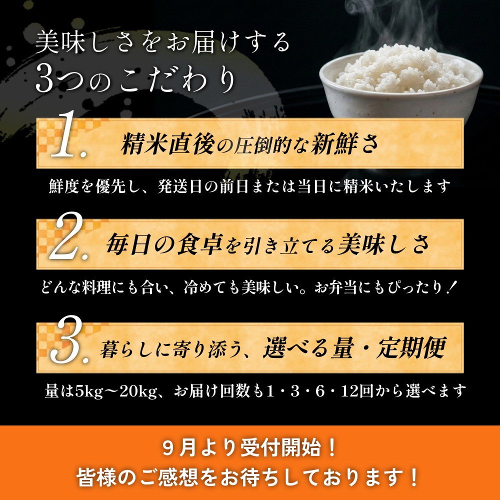 【 令和8年産 】 新米 ササニシキ 15kg＜ 毎月 15kg 3回 お届け 