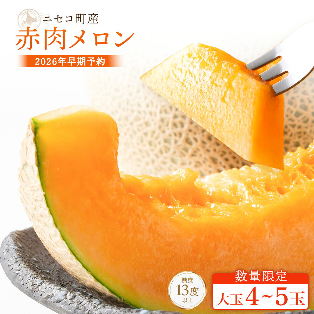 【ふるさと納税】【北海道ニセコ町産】赤肉メロン4～5玉　＜数量限定・2026年早期予約・7月下旬より出荷予定＞【02038】