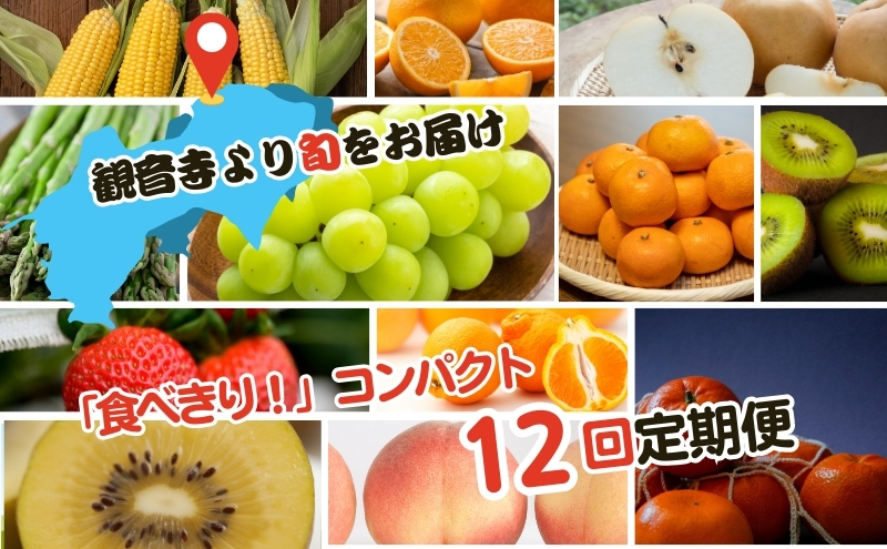 フルーツ 定期便 全12回 野菜 香川県産 讃岐 食べきり ご家庭用 旬菜旬果 キウイ香緑 さぬきひめ苺 いちご しらぬひ アスパラガス 甘夏柑 スイートコーン 桃 梨 シャインマスカット ゴールドキウイ 少量ずつ 旬野菜 果物 くだもの 柑橘 香川県 観音寺市