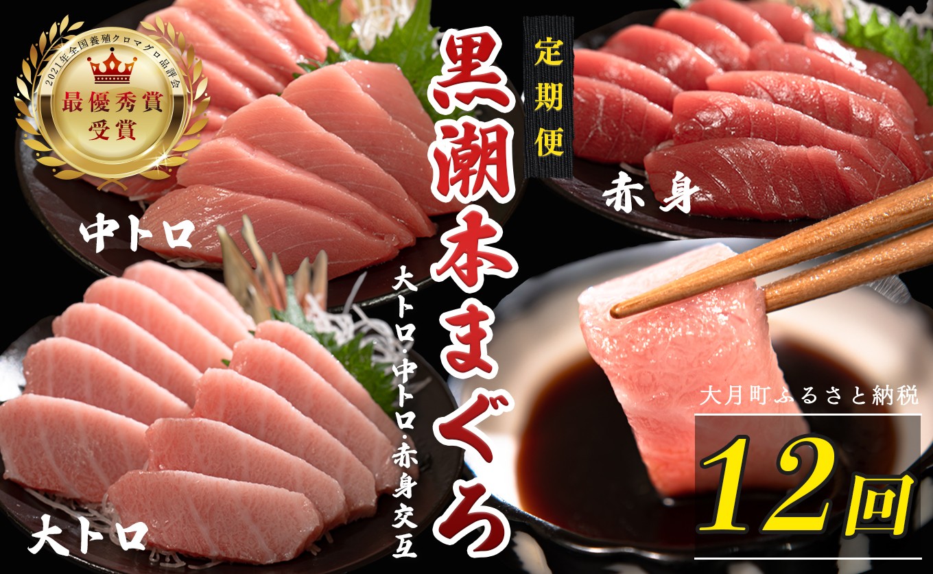 
                  訳あり 不定貫 定期便 12回 国産 養殖本マグロ 大トロ・中トロ・赤身 3種 毎回300g 月替わり×12回 黒潮本まぐろ 全国養殖クロマグロ品評会 最優秀賞受賞 12ヶ月 12か月 一年 柵 刺身用 本マグロ クロマグロ 本鮪 まぐろ 鮪 お刺身 さしみ 大トロ トロ 中トロ 赤身 海鮮丼 漬け丼 手巻き寿司 鉄火丼 まぐろ丼 小分け 個包装 真空パック 冷凍 不揃い 家庭用 海鮮 17万円
                