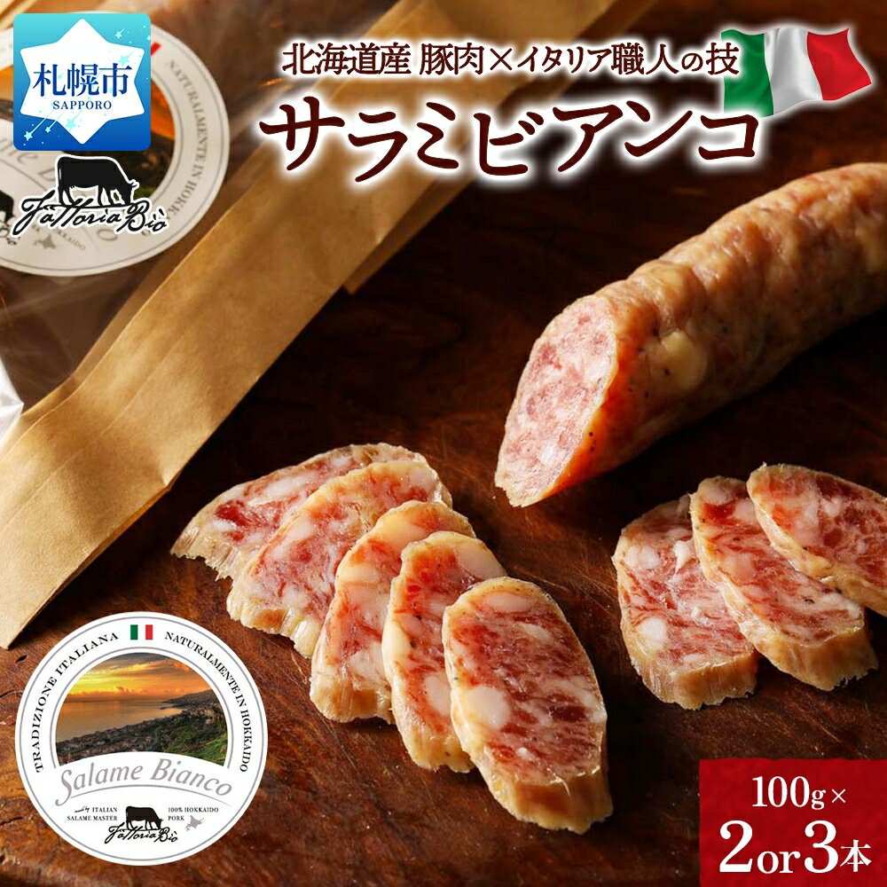 【ふるさと納税】 北海道産 サラミ 【 選べる 数量 】 100g 2本 3本 北海道産豚肉 熟成 サラミビアンコ お取り寄せ スパイシー 本格 サラダ おつまみ グルメ 国産 肉 加工品 ファットリアビオ 北海道 札幌市