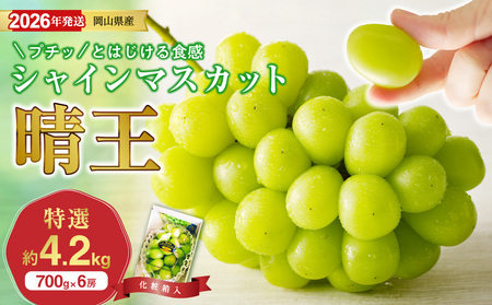 【2026年発送分 先行受付スタート！】岡山県産シャインマスカット「晴王」特選　大房　化粧箱入（約700g×6房）（令和8年8月中旬以降発送）【シャインマスカット 晴王】hz-s