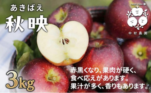 フルーツファーム中村農園　【10月上旬発送 先行予約】樹上熟成　秋映 3kg |  りんご 秋映 林檎 人気 おすすめ 果物 フルーツ 赤いりんご 送料無料 長野県 長野市 信州 信濃 ふるさと納税