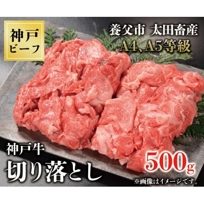 
神戸牛　切り落とし　500g【1443412】
